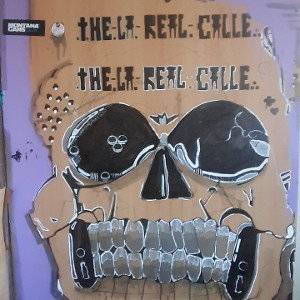 thelarealcalle desde el norte 142