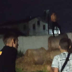 друзя
