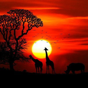 Savana