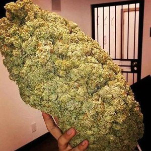 Wake & Bake