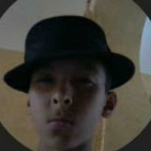 anass bot