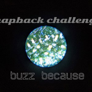 buzz does- snapback challenge