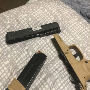 Taurus G2c
