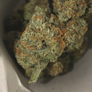 Pack