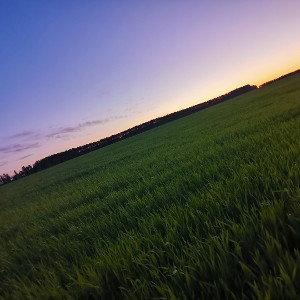 пацаны 
