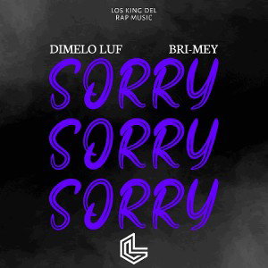 Sorry -  Bri-Mey // Dimelo luf (Audio ofucial) 