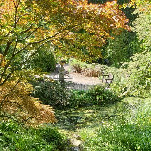 Utopia