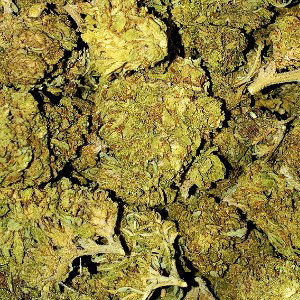 Skunk Buds (Feat. RICHarD)