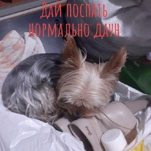 Saner - Серия