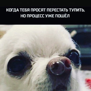 1 песня в прямом ифире
