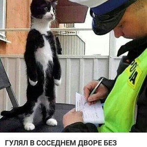 хуйта )))