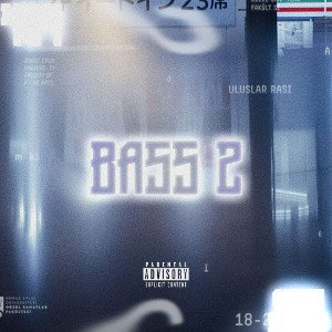 BASS 2 