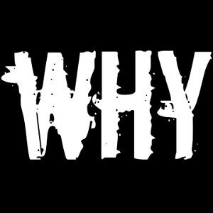 MJ official -why