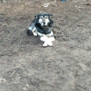 хочешь денег?