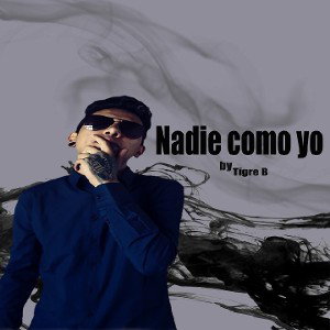 Nadie como yo (remix)