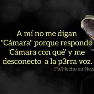 De regreso el Snko 🙏🌱
