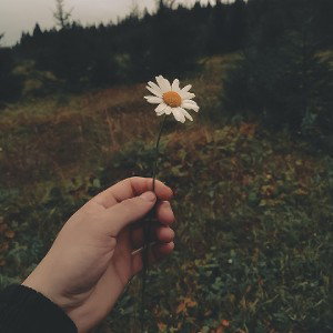MONSTERA — Я не боюсь (demo)