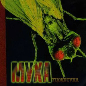 Муха-ТЦокотуха
