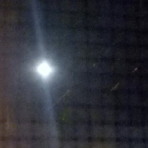 the night light 