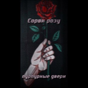 Сорви розу-пурпурные двери