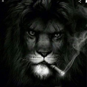 O.G._14:06