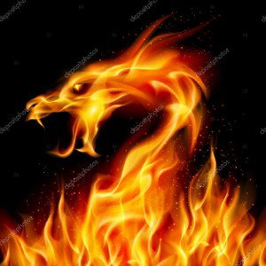 WilD FirE