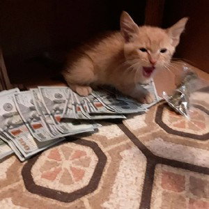 bandz up