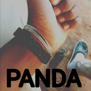  بآندا_(مرغوب). Panda _margob