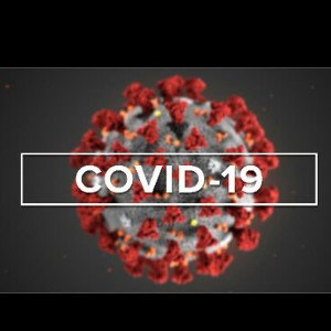 covid 19