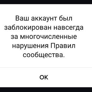 Fonk-in The Fake the FEOFILOV 🥀