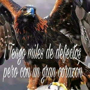OTRA PARA LA COLECCIÓN 