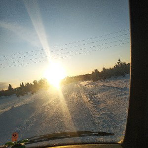Сезон Мертвецов (SB-1r)