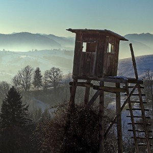 Auf der Jagd