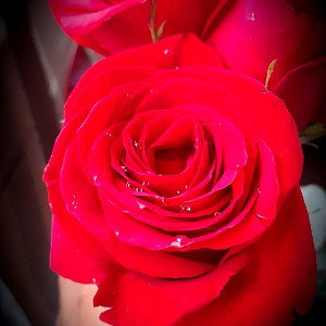 Te_Perdi-Viky_Flores_