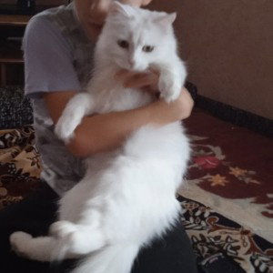 первый трек