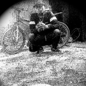 Rapdeem P, kgen