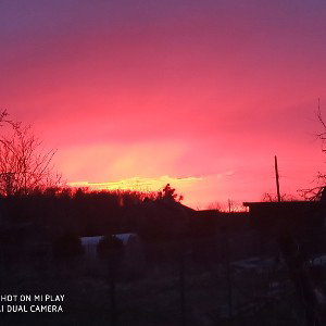 милена и зелень