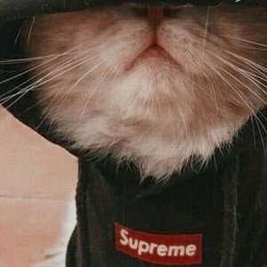 Лузер