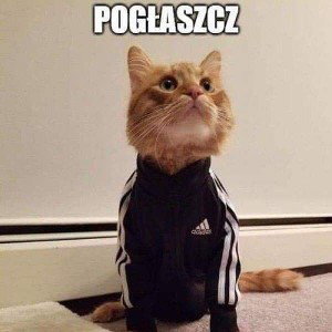 dżej dżej