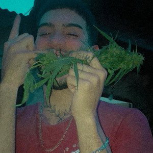 Buscando Medusa 