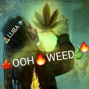 impro🔥🍃🍁Freestyle "DEDICADO A LA WEED"🍁🍃🔥