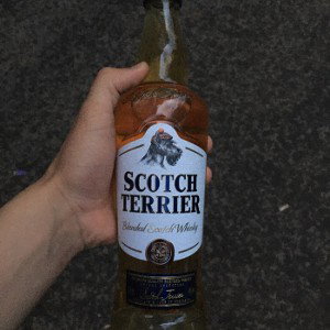 Мысли