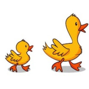 row of ducks.