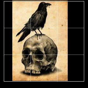 POETIC CROW 
