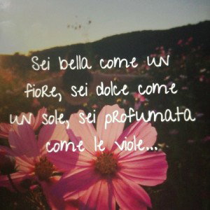 la ragazza è bella come un fiore 