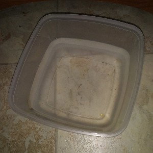 dog water