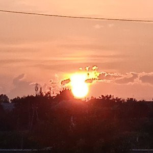 Фит с [TRIL FLIKER]- GTR