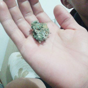 dedo do meio .l. 
