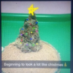 green christmass demo 