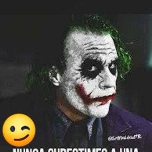 perro